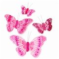 Picture for category 10cm Feather Butterflies