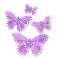 Picture for category 12cm Feather Butterflies