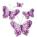 Picture for category 12cm Organza Butterflies