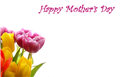 Picture for category Mothers Day