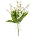 Picture for category Lily Of The Valley