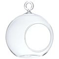Picture for category Glass Hanging Ball