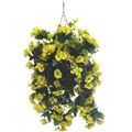 Picture for category Hanging Baskets