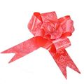 Picture for category Patterned Pullbows
