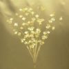 Picture of CRYSTAL SPRAY CLEAR BUNCH OF 12