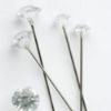 Picture of 4cm (1.5 INCH) DIAMANTE PINS CLEAR X 100pcs