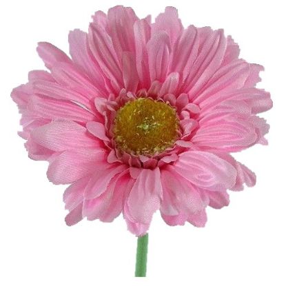 Picture of SINGLE GERBERA 21 INCH PINK