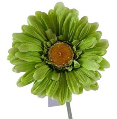 Picture of SINGLE GERBERA 21 INCH LIME GREEN