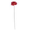 Picture of SINGLE GERBERA 21 INCH RED