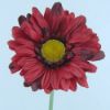 Picture of SINGLE GERBERA 21 INCH RED