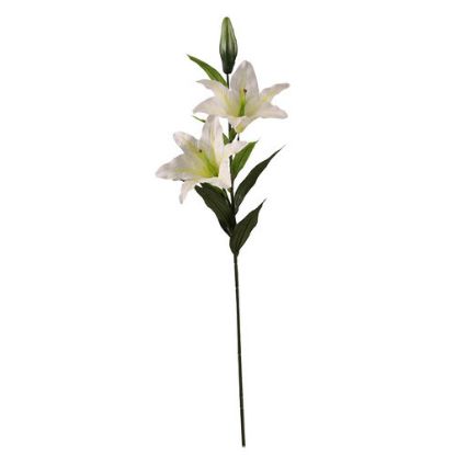 Picture of 84cm CASABLANCA LILY SPRAY CREAM X 24pcs (KNOCK DOWN PACKAGING - HEADS NEED ATTACHING)
