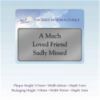 Picture of RECTANGULAR STICK-ON METAL PLAQUE SILVER - MUCH LOVED FRIEND (PP8S)