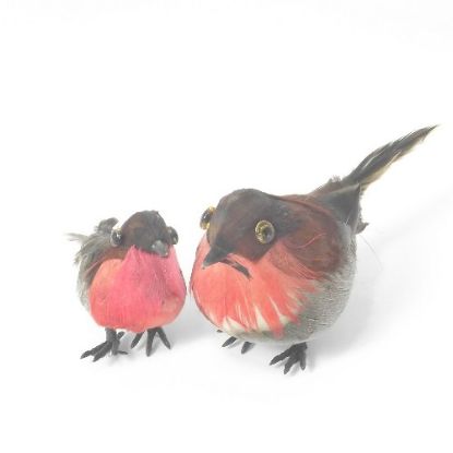 Picture of FEATHER ROBIN 6cm X 24pcs
