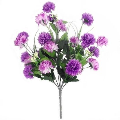 Picture of CHRYSANTHEMUM BUSH LILAC AND PURPLE