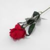 Picture of 66cm SINGLE PERFECT ROSEBUD RED