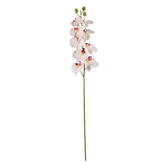 Picture of 106cm JAPANESE ORCHID SPRAY CREAM