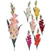 Picture of 96cm LARGE GLADIOLUS SPRAY RED