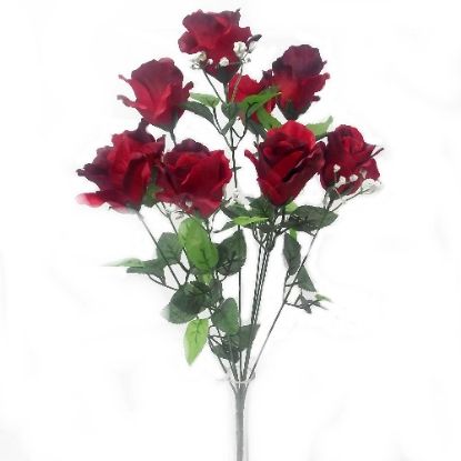 Picture of 54cm ROSE BUSH WITH GYP (9 HEADS) RED