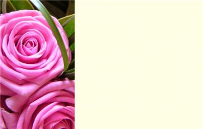 Picture of GREETING CARDS X 50 (NO MESSAGE) ROSES PINK