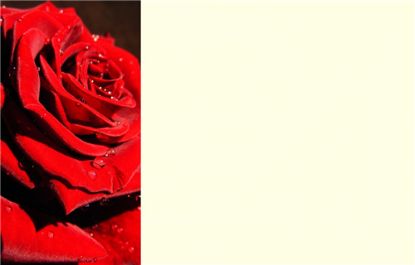 Picture of GREETING CARDS X 50 (NO MESSAGE) ROSE RED