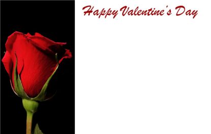 Picture of GREETING CARDS X 50 HAPPY VALENTINES DAY - ROSE RED/BLACK