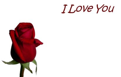 Picture of GREETING CARDS X 50 I LOVE YOU - SINGLE ROSEBUD RED