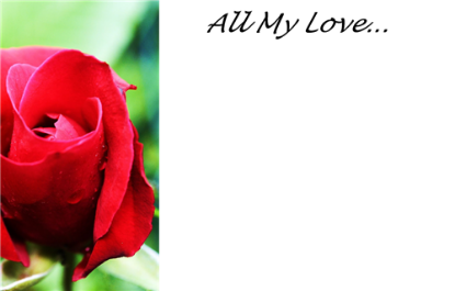 Picture of GREETING CARDS X 50 ALL MY LOVE - RAINDROP ROSEBUD RED