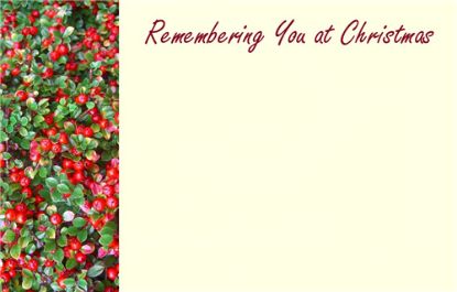 Picture of GREETING CARDS X 50 REMEMBERING YOU AT CHRISTMAS - SMALL BERRIES RED