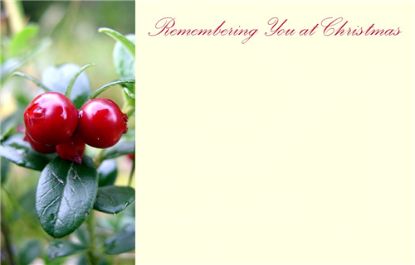 Picture of GREETING CARDS X 50 REMEMBERING YOU AT CHRISTMAS - LARGE BERRIES RED