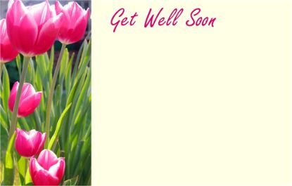 Picture of GREETING CARDS X 50 GET WELL SOON - TULIPS PINK