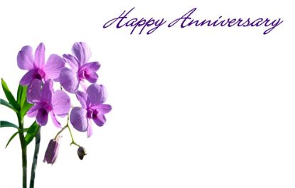 Picture of GREETING CARDS X 50 HAPPY ANNIVERSARY - ORCHID LILAC