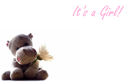 Picture of GREETING CARDS X 50 ITS A GIRL - SOFT TOY AND GERBERA