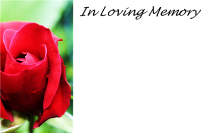 Picture of GREETING CARDS X 50 IN LOVING MEMORY - RAINDROP ROSEBUD RED