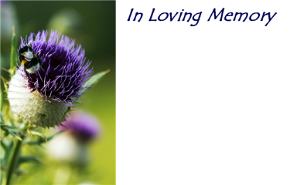 Picture of GREETING CARDS X 50 IN LOVING MEMORY - THISTLE PURPLE