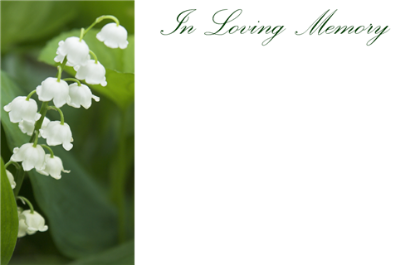 Picture of GREETING CARDS X 50 IN LOVING MEMORY - LILY OF THE VALLEY WHITE