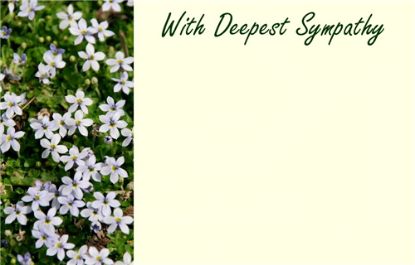 Picture of GREETING CARDS X 50 WITH DEEPEST SYMPATHY - BLOSSOMS WHITE