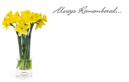 Picture of GREETING CARDS X 50 ALWAYS REMEMBERED - DAFFODILS