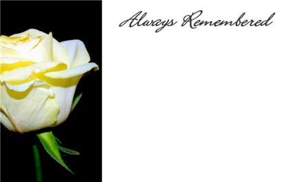 Picture of GREETING CARDS X 50 ALWAYS REMEMBERED - ROSE CREAM