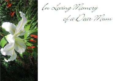 Picture of GREETING CARDS X 50 IN LOVING MEMORY OF A DEAR MUM - LILY WHITE