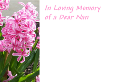 Picture of GREETING CARDS X 50 IN LOVING MEMORY OF A DEAR NAN - HYACINTHS PINK