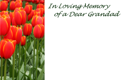 Picture of GREETING CARDS X 50 IN LOVING MEMORY OF A DEAR GRANDAD - TULIPS ORANGE