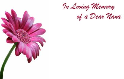 Picture of GREETING CARDS X 50 IN LOVING MEMORY OF A DEAR NANA - GERBERA PINK