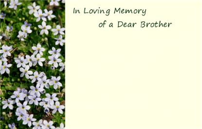 Picture of GREETING CARDS X 50 IN LOVING MEMORY OF A DEAR BROTHER - BLOSSOMS WHITE
