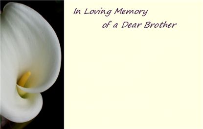Picture of GREETING CARDS X 50 IN LOVING MEMORY OF A DEAR BROTHER - CALLA LILY WHITE
