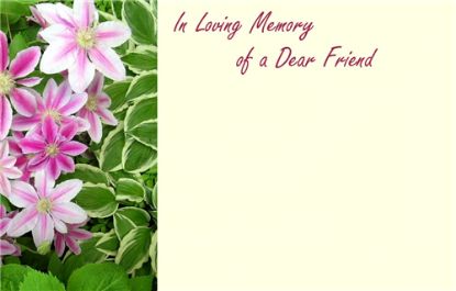 Picture of GREETING CARDS X 50 IN LOVING MEMORY OF A DEAR FRIEND - CLEMATIS PINK