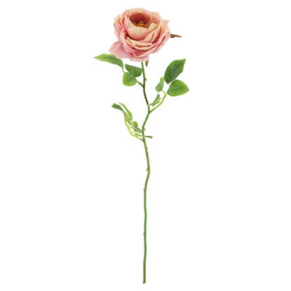 Picture of 75cm CHLOE ENGLISH OPEN ROSE VINTAGE PINK