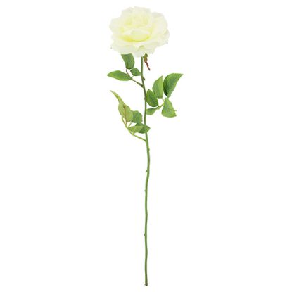 Picture of 74cm CHLOE LARGE TEA ROSE IVORY
