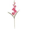 Picture of 60cm GLADIOLUS SPRAY PINK