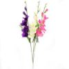 Picture of 60cm GLADIOLUS SPRAY PINK