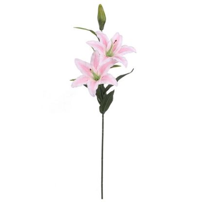 Picture of 84cm CASABLANCA LILY SPRAY IVORY/PINK X 24pcs (KNOCK DOWN PACKAGING - HEADS NEED ATTACHING)